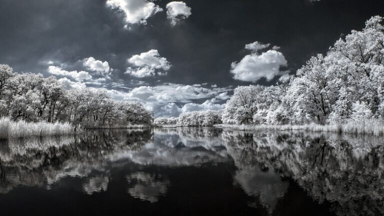 Kas yra kačių nukailinimas ir kaip jis atliekamas?